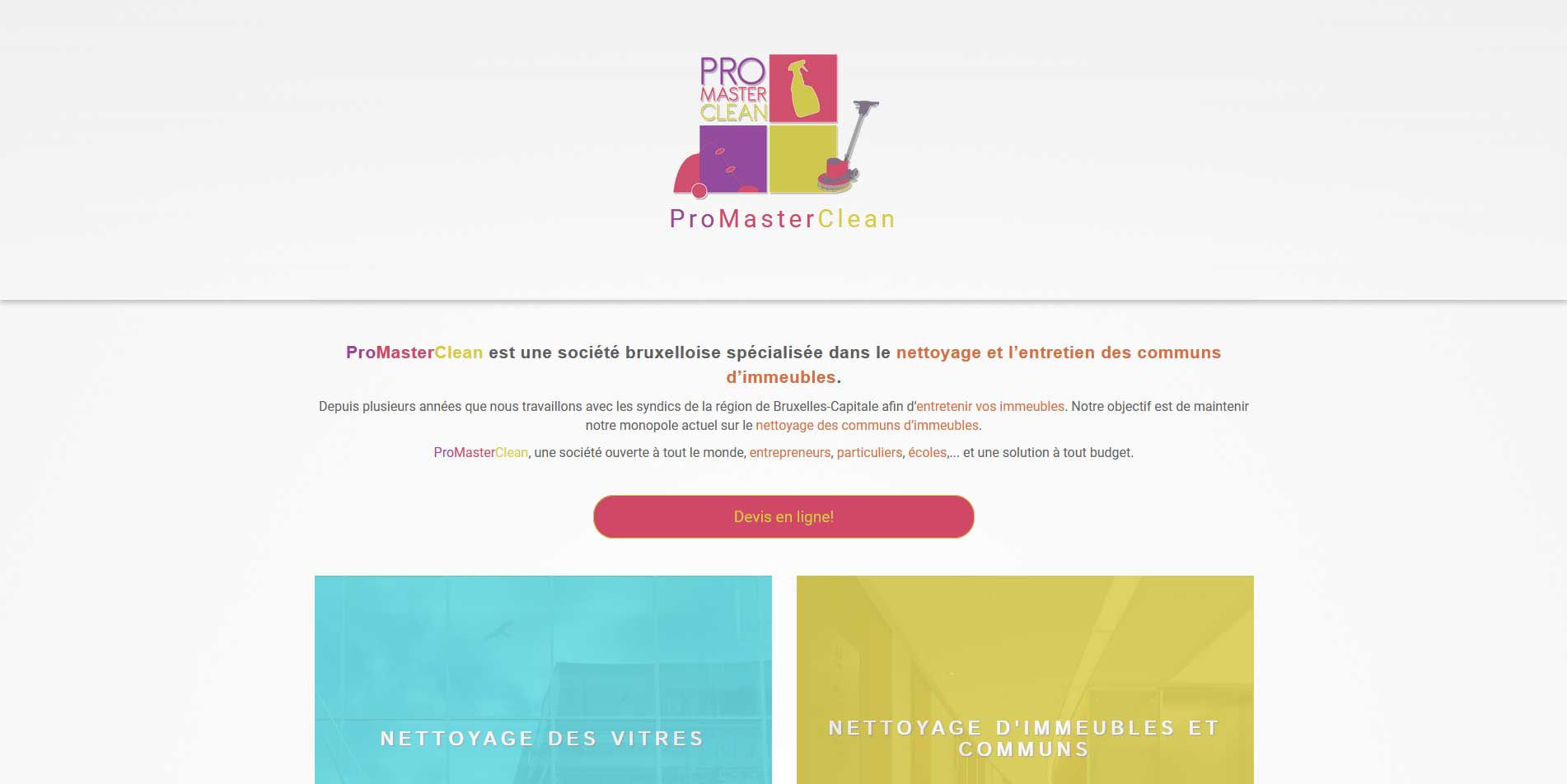 Image du site Pro Master Clean